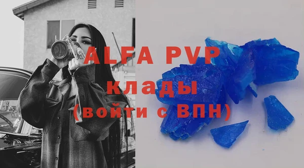 прущие грибы Наволоки