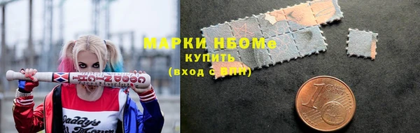 прущие грибы Наволоки