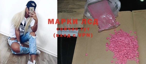 прущие грибы Наволоки