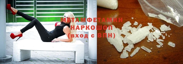 прущие грибы Наволоки