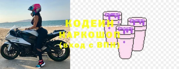 прущие грибы Наволоки
