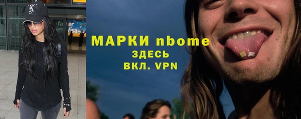 прущие грибы Наволоки