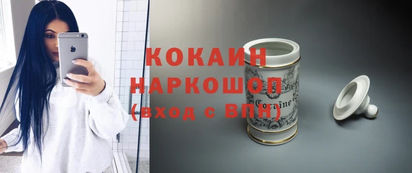 прущие грибы Наволоки