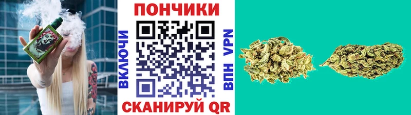 Бошки марихуана планчик  Купить где  Пугачёв 